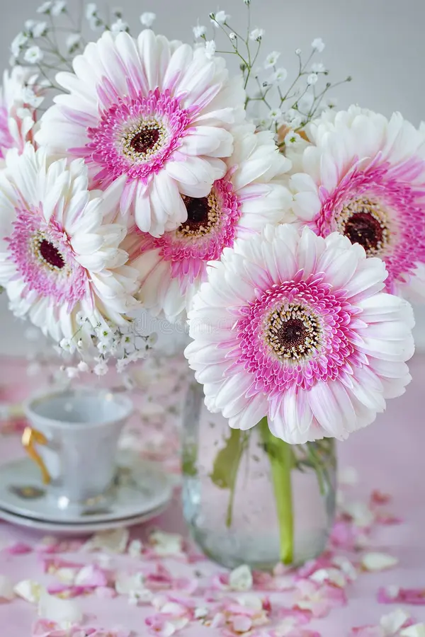 lovely bunch flowers beautiful bouquet pink fresh gerberas pastel tonality lovely bunch flowers beautiful fresh flowers 192806955