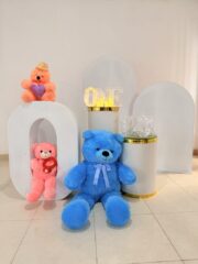 2025 07 26 12 18 img 8272