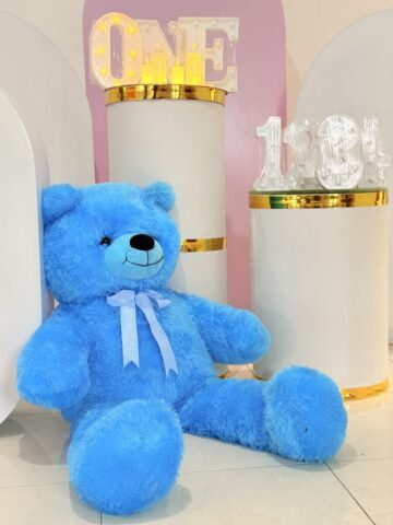 2025 07 26 12 20 img 8278