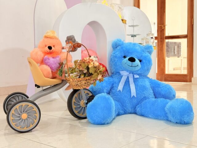 2025 07 26 12 29 img 8293